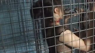 3 bitches having fun with their cunts into cage