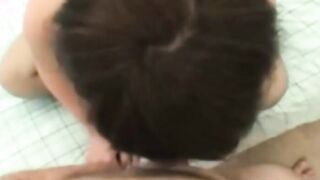 Titties And A Oral Sex And Creampie Experience While Feeling