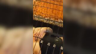 Fun into cage with wand