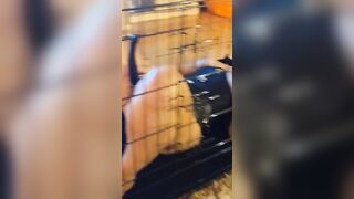 Fun into cage with wand