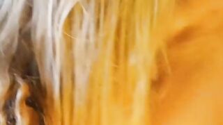 Superlush69 blows and ejaculates all over long penis.