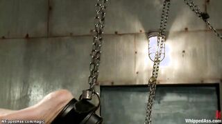 Military cougar whips tied recruit