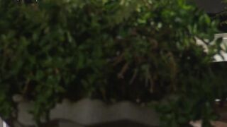 Dark Haired blows the large dick before being laid rough