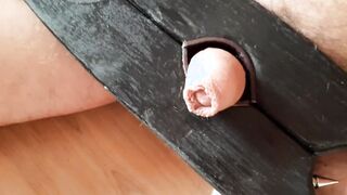 Dom Tramples Her Sub's Cock