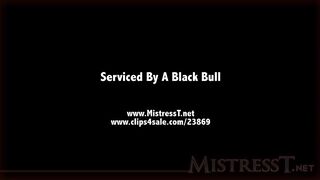 cougar fucks incredible ebony dick