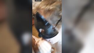 PeachBitch: Passionate Boned. Head And Drink Sperm