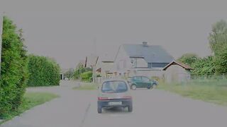 Polish Amateur Lovers, Fucking inside the vehicle