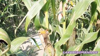 Strecher caught Lara Bergmann into the corn field!