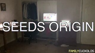 Seeds Origin