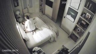 WH-IP-006. IP Cameras