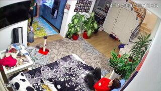 WH-IP-007. IP Cameras