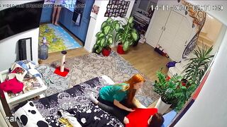 WH-IP-007. IP Cameras