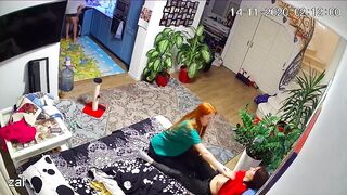 WH-IP-007. IP Cameras