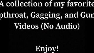 Gorgeous Blowjobs Vol. one (No Audio)