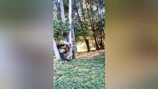 Outdoors park head, hand job with sexy jizzed