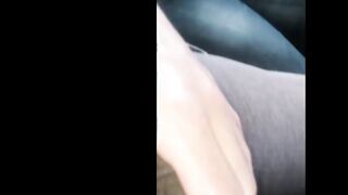 Risky Blowob on Bus and Flashing Breasts