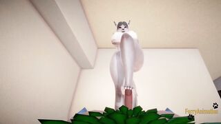 Furry Animated 3D - White Wolf x Human Dragon Turf Job