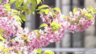 Cherry Tree Fairy Story