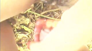 Desi bimbos Sonali College ke bad gye ghumne aur chudai hui