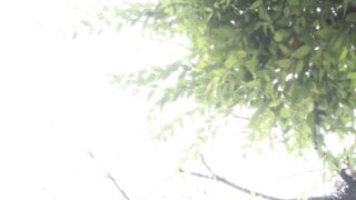 初撮り五十路妻ドキュメント　三沢蘭