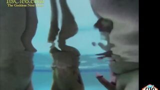 Water Nymphs Annie Knight And Its Cleo Submerge Into Pool