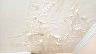 Sarah Rosa │ Series │ House Cleaning │ part 6