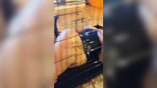 Fun inside a cage