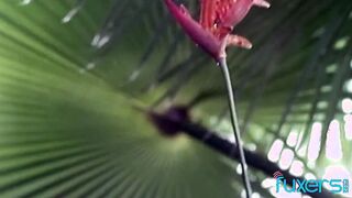 outside 3some sex