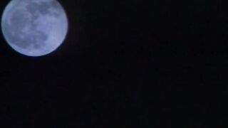 Full Moon Fucking Fever