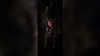 Cunnilingus on the first date with a stranger inside the park