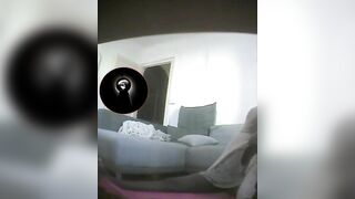 Concealed 21