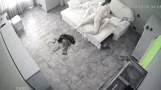 WH-IP-014. IP Cameras