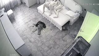 WH-IP-014. IP Cameras