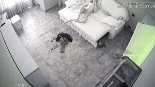 WH-IP-014. IP Cameras