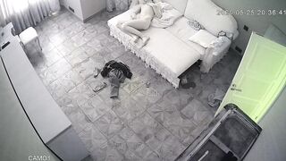 WH-IP-014. IP Cameras