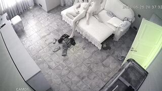 WH-IP-014. IP Cameras