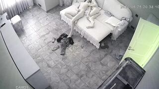 WH-IP-014. IP Cameras