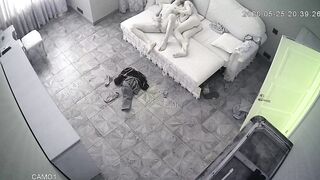 WH-IP-014. IP Cameras