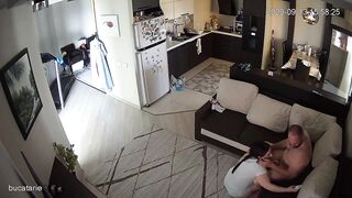 WH-IP-013. IP Cameras