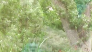Venus Is A Bareback Hoe and hitches a riding outside