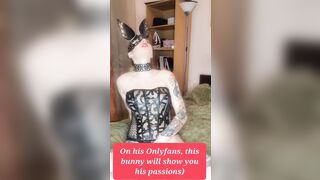 Depraved rabbit