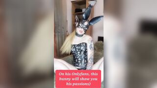 Depraved rabbit