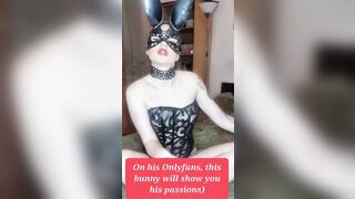 Depraved rabbit