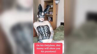 Depraved rabbit