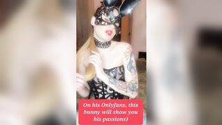 Depraved rabbit
