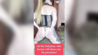 Depraved rabbit