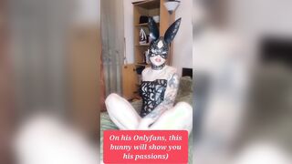 Depraved rabbit