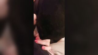 Laced,leashed & buttpluged obedient little whorish pet wifey