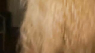 Amateur Lovers Sex Fantasy
