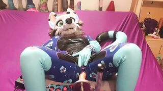 snep gets screwed